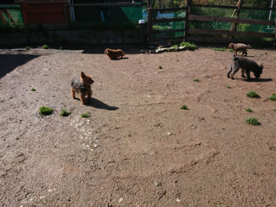 f:id:roukenhome-ann:20190427203401j:plain