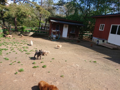 f:id:roukenhome-ann:20190427203407j:plain