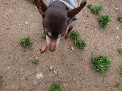 f:id:roukenhome-ann:20190427203444j:plain