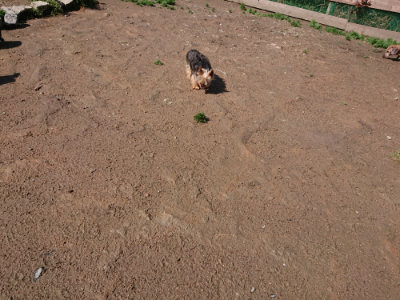 f:id:roukenhome-ann:20190427203658j:plain