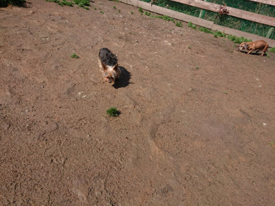 f:id:roukenhome-ann:20190427203732j:plain