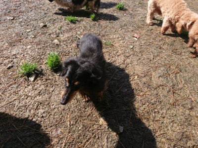 f:id:roukenhome-ann:20190427203801j:plain