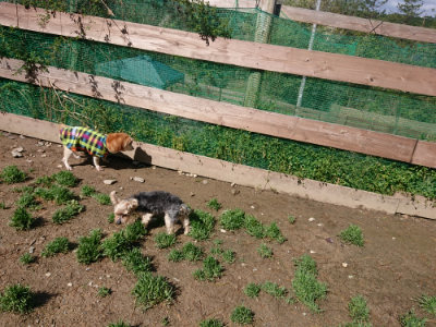 f:id:roukenhome-ann:20190428052111j:plain
