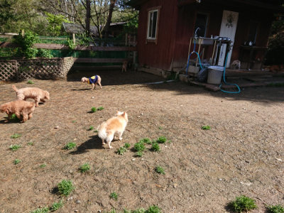 f:id:roukenhome-ann:20190428052116j:plain
