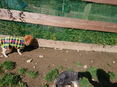 f:id:roukenhome-ann:20190428052141j:plain