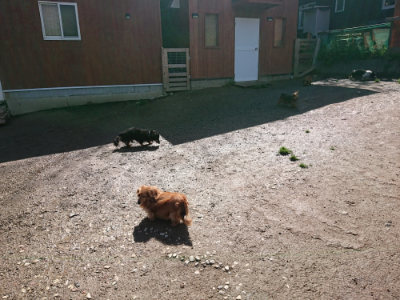 f:id:roukenhome-ann:20190428052211j:plain