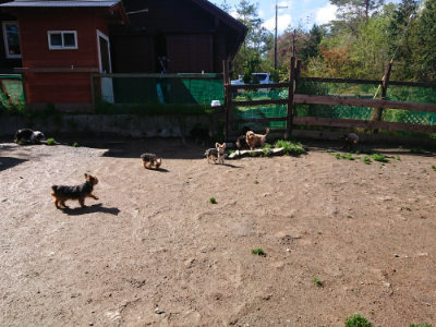 f:id:roukenhome-ann:20190428052251j:plain