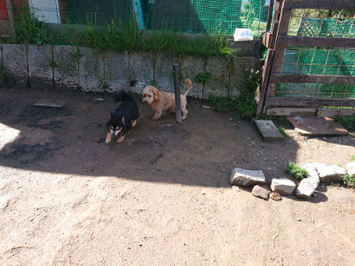 f:id:roukenhome-ann:20190428052256j:plain