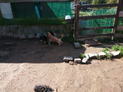 f:id:roukenhome-ann:20190428052317j:plain
