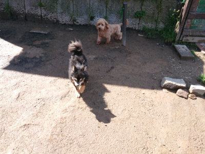 f:id:roukenhome-ann:20190428052348j:plain