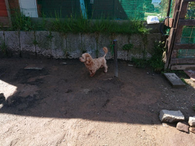 f:id:roukenhome-ann:20190428052407j:plain