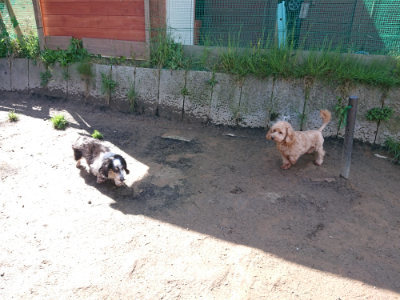 f:id:roukenhome-ann:20190428052412j:plain
