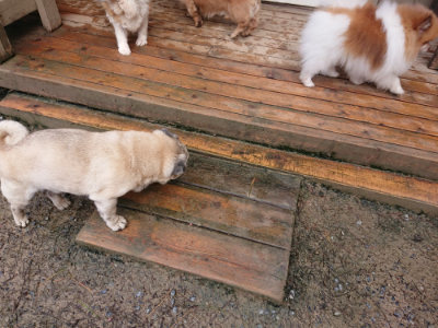 f:id:roukenhome-ann:20190428052416j:plain