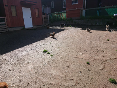 f:id:roukenhome-ann:20190428052432j:plain