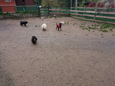 f:id:roukenhome-ann:20190428052439j:plain