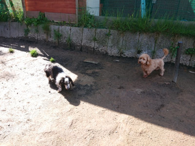 f:id:roukenhome-ann:20190428052457j:plain