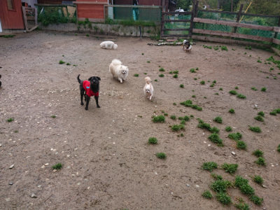 f:id:roukenhome-ann:20190428052517j:plain