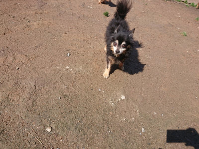 f:id:roukenhome-ann:20190428052522j:plain