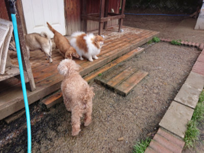 f:id:roukenhome-ann:20190428052552j:plain