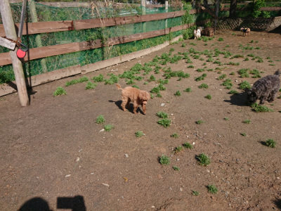 f:id:roukenhome-ann:20190428052609j:plain