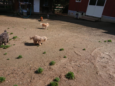 f:id:roukenhome-ann:20190428052632j:plain