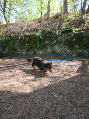 f:id:roukenhome-ann:20190428053002j:plain