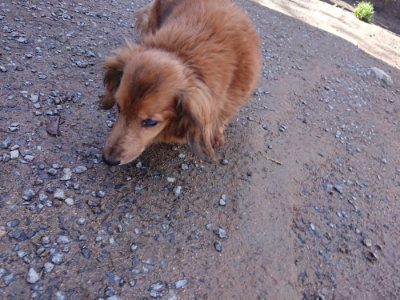 f:id:roukenhome-ann:20190428053033j:plain