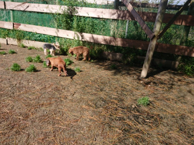 f:id:roukenhome-ann:20190428053044j:plain