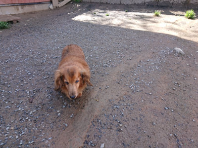 f:id:roukenhome-ann:20190428053137j:plain