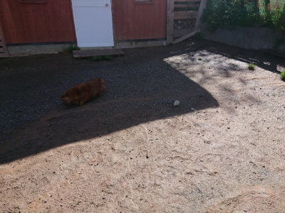 f:id:roukenhome-ann:20190428053230j:plain