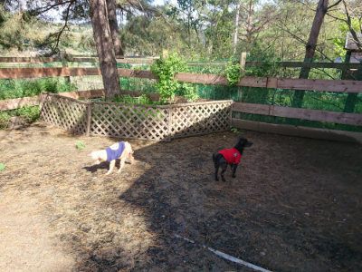 f:id:roukenhome-ann:20190428053314j:plain