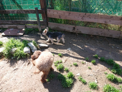 f:id:roukenhome-ann:20190428053319j:plain