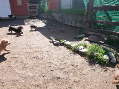 f:id:roukenhome-ann:20190428053324j:plain