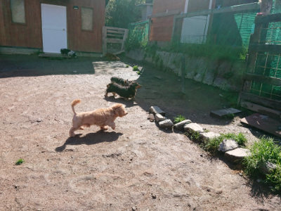 f:id:roukenhome-ann:20190428053342j:plain
