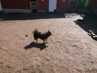 f:id:roukenhome-ann:20190428053407j:plain