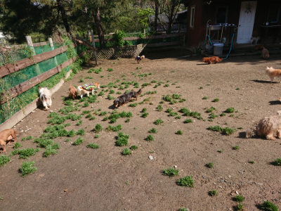 f:id:roukenhome-ann:20190428053426j:plain