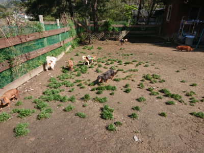 f:id:roukenhome-ann:20190428053432j:plain