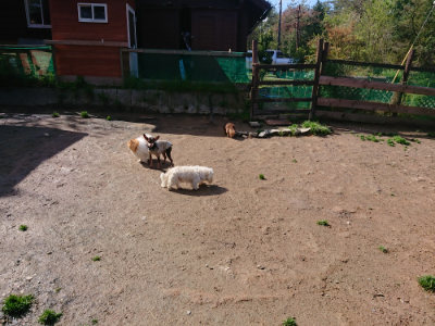 f:id:roukenhome-ann:20190428053448j:plain