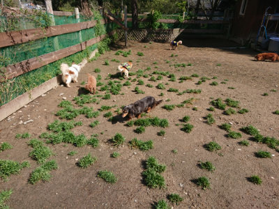 f:id:roukenhome-ann:20190428053453j:plain