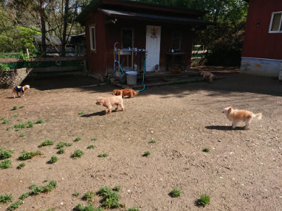 f:id:roukenhome-ann:20190428053459j:plain