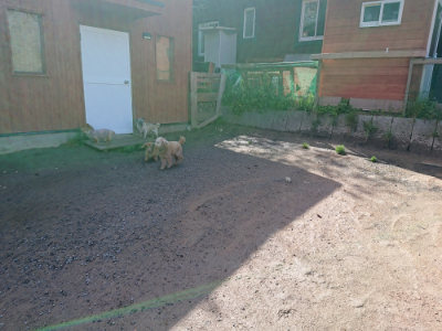 f:id:roukenhome-ann:20190428053504j:plain