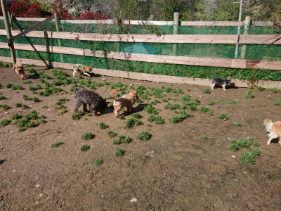 f:id:roukenhome-ann:20190428053515j:plain
