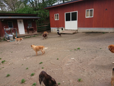 f:id:roukenhome-ann:20190428053827j:plain