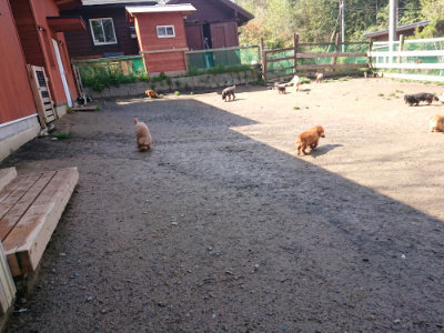 f:id:roukenhome-ann:20190428053837j:plain