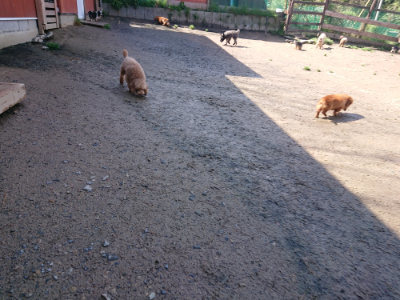 f:id:roukenhome-ann:20190428053843j:plain
