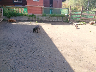f:id:roukenhome-ann:20190428053903j:plain