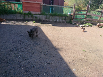 f:id:roukenhome-ann:20190428053908j:plain