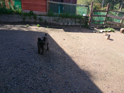 f:id:roukenhome-ann:20190428053912j:plain