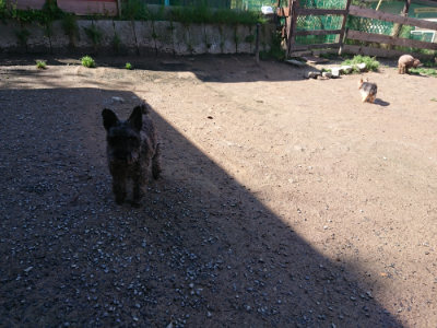 f:id:roukenhome-ann:20190428053917j:plain