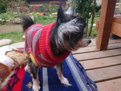 f:id:roukenhome-ann:20190428054016j:plain